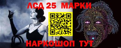 гидропоника Моздок