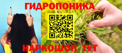 сатива Можга