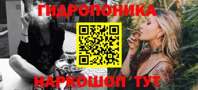 сатива Можга