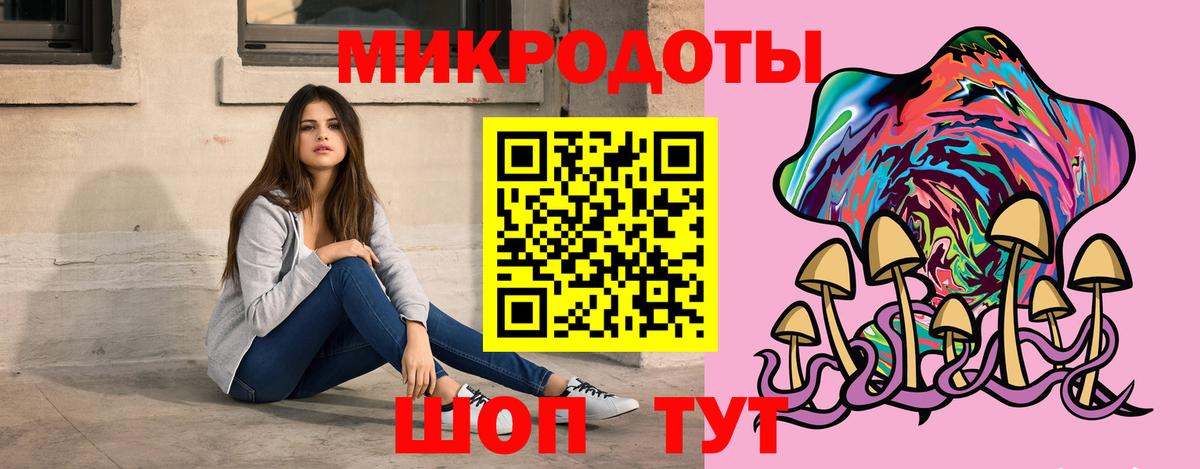 Псилоцибиновые грибы мицелий Чехов